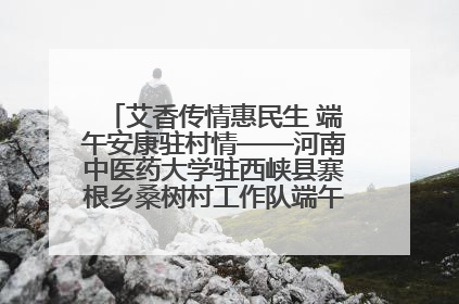 艾香传情惠民生 端午安康驻村情——河南中医药大学驻西峡县寨根乡桑树村工作队端午中医惠民记