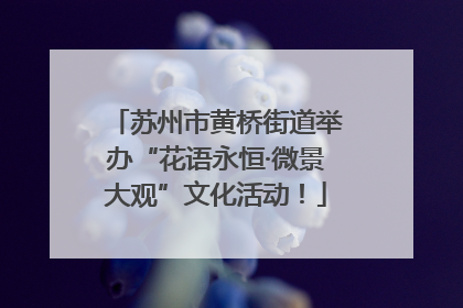 苏州市黄桥街道举办“花语永恒·微景大观”文化活动！
