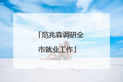 范兆森调研全市就业工作