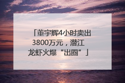 董宇辉4小时卖出3800万元，潜江龙虾火爆“出圈”