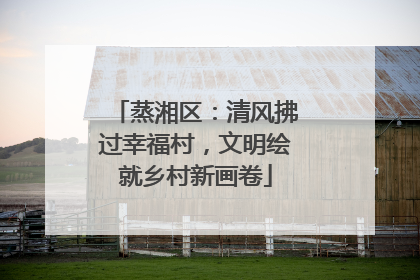 蒸湘区：清风拂过幸福村，文明绘就乡村新画卷