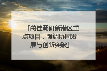 蔺佳调研新港区重点项目，强调协同发展与创新突破