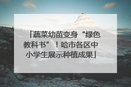 蔬菜幼苗变身“绿色教科书”！哈市各区中小学生展示种植成果