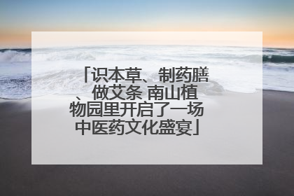 识本草、制药膳、做艾条 南山植物园里开启了一场中医药文化盛宴