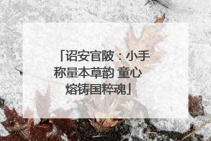 诏安官陂：小手称量本草韵 童心熔铸国粹魂