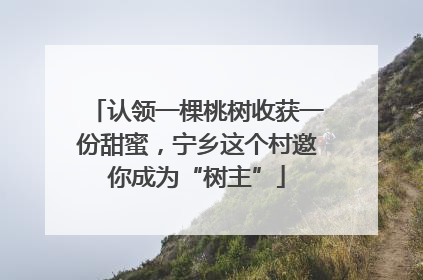 认领一棵桃树收获一份甜蜜，宁乡这个村邀你成为“树主”