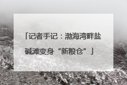 记者手记：渤海湾畔盐碱滩变身“新粮仓”