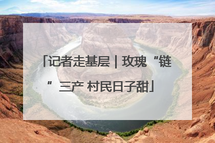 记者走基层｜玫瑰“链”三产 村民日子甜