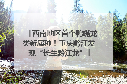 西南地区首个鸭嘴龙类新属种！重庆黔江发现“长生黔江龙”