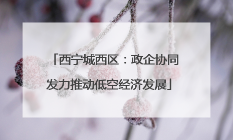 西宁城西区：政企协同发力推动低空经济发展
