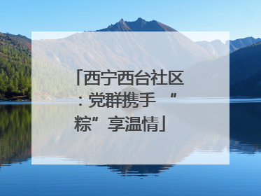 西宁西台社区：党群携手 “粽”享温情