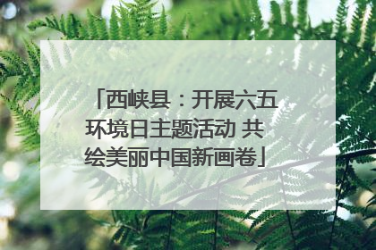 西峡县：开展六五环境日主题活动 共绘美丽中国新画卷