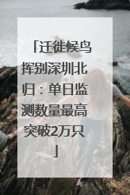 迁徙候鸟挥别深圳北归：单日监测数量最高突破2万只