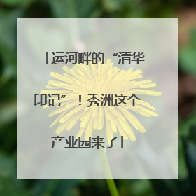 运河畔的“清华印记”！秀洲这个产业园来了