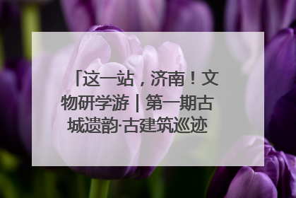 这一站，济南！文物研学游｜第一期古城遗韵·古建筑巡迹之旅圆满结束