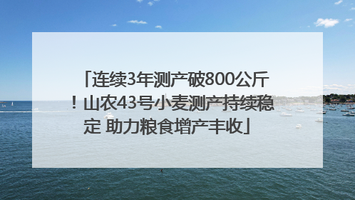 连续3年测产破800公斤！山农43号小麦测产持续稳定 助力粮食增产丰收