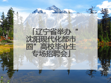 辽宁省举办“沈阳现代化都市圈”高校毕业生专场招聘会