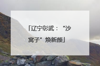 辽宁彰武：“沙窝子”焕新颜