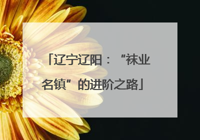 辽宁辽阳：“袜业名镇”的进阶之路