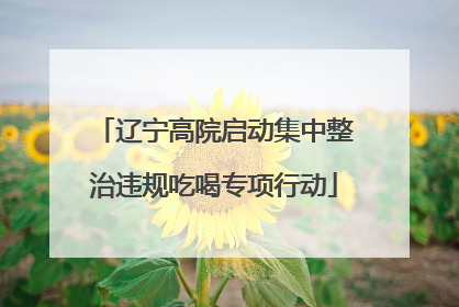 辽宁高院启动集中整治违规吃喝专项行动