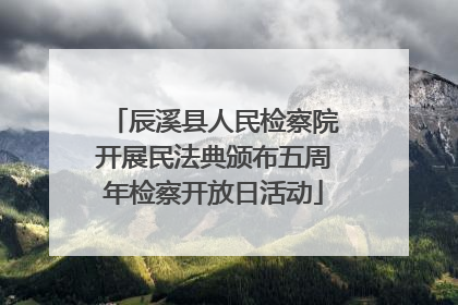 辰溪县人民检察院开展民法典颁布五周年检察开放日活动