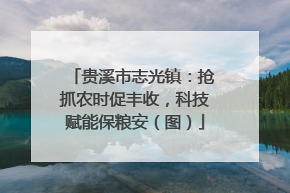 贵溪市志光镇：抢抓农时促丰收，科技赋能保粮安（图）