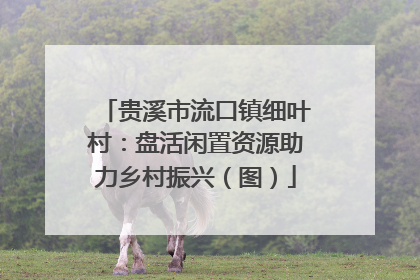 贵溪市流口镇细叶村：盘活闲置资源助力乡村振兴（图）