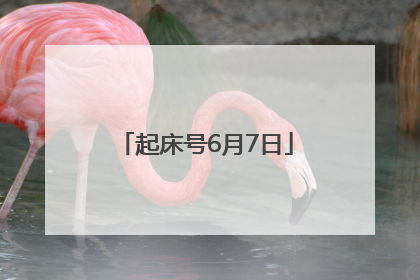 起床号6月7日