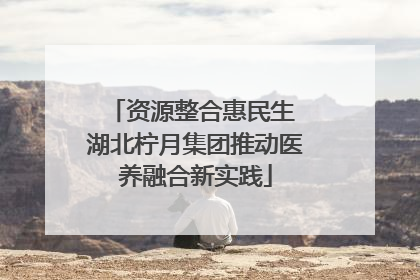 资源整合惠民生 湖北柠月集团推动医养融合新实践