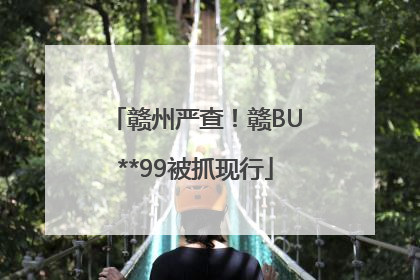 赣州严查！赣BU**99被抓现行