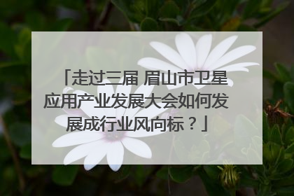 走过三届 眉山市卫星应用产业发展大会如何发展成行业风向标？