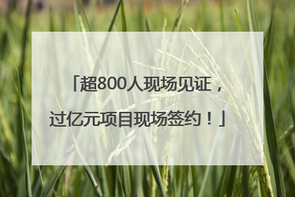 超800人现场见证，过亿元项目现场签约！