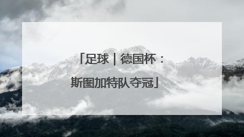 足球｜德国杯：斯图加特队夺冠