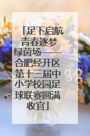 足下启航 青春逐梦绿茵场——合肥经开区第十三届中小学校园足球联赛圆满收官