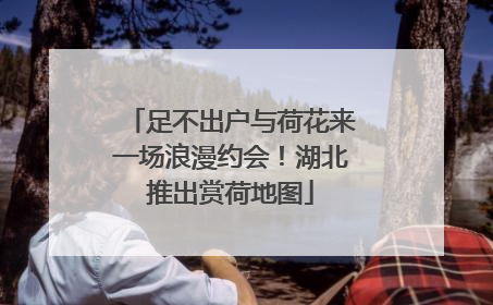 足不出户与荷花来一场浪漫约会！湖北推出赏荷地图