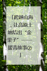 跨越山海，让高原土地结出“金果子”——援青故事②