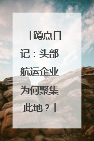 蹲点日记：头部航运企业为何聚集此地？