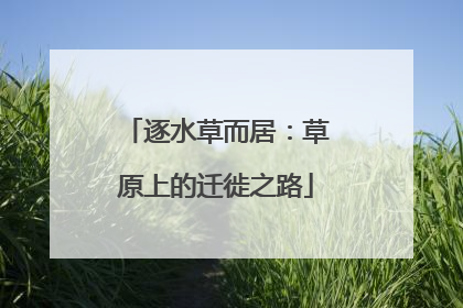 逐水草而居：草原上的迁徙之路