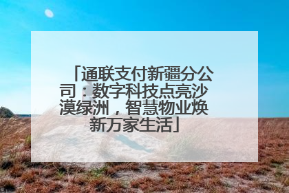 通联支付新疆分公司：数字科技点亮沙漠绿洲，智慧物业焕新万家生活