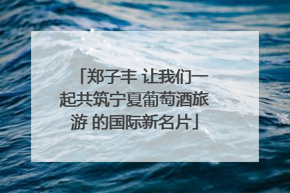 郑子丰 让我们一起共筑宁夏葡萄酒旅游 的国际新名片