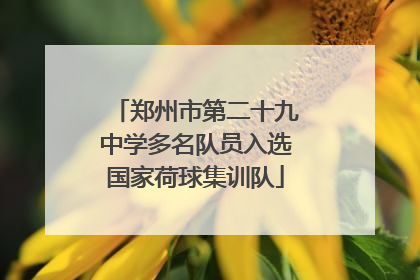 郑州市第二十九中学多名队员入选国家荷球集训队