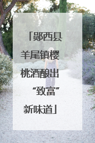 郧西县羊尾镇樱桃酒酿出“致富”新味道