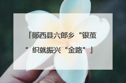 郧西县六郎乡“银茧”织就振兴“金路”