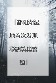 鄱阳湖湿地首次发现彩鹮筑巢繁殖