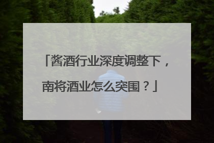 酱酒行业深度调整下，南将酒业怎么突围？