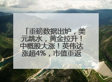 重磅数据出炉，美元跳水，黄金拉升！中概股大涨！英伟达涨超4%，市值重返全球第一！黄仁勋计划出售至多600万股股票
