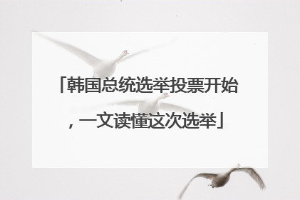 韩国总统选举投票开始，一文读懂这次选举