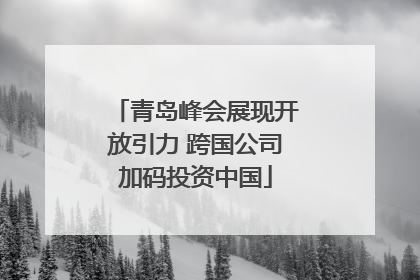 青岛峰会展现开放引力 跨国公司加码投资中国
