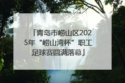 青岛市崂山区2025年“崂山湾杯”职工足球赛圆满落幕