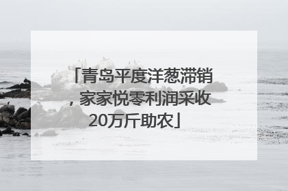 青岛平度洋葱滞销，家家悦零利润采收20万斤助农
